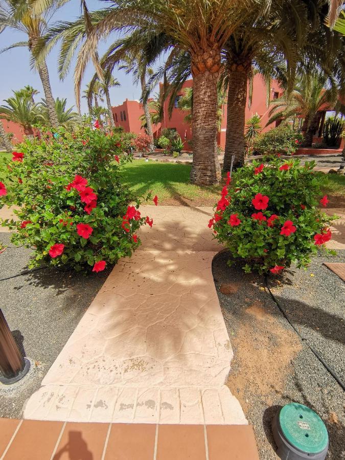 Appartamento Spagnolo Oasis Tamarindo Corralejo Exterior foto