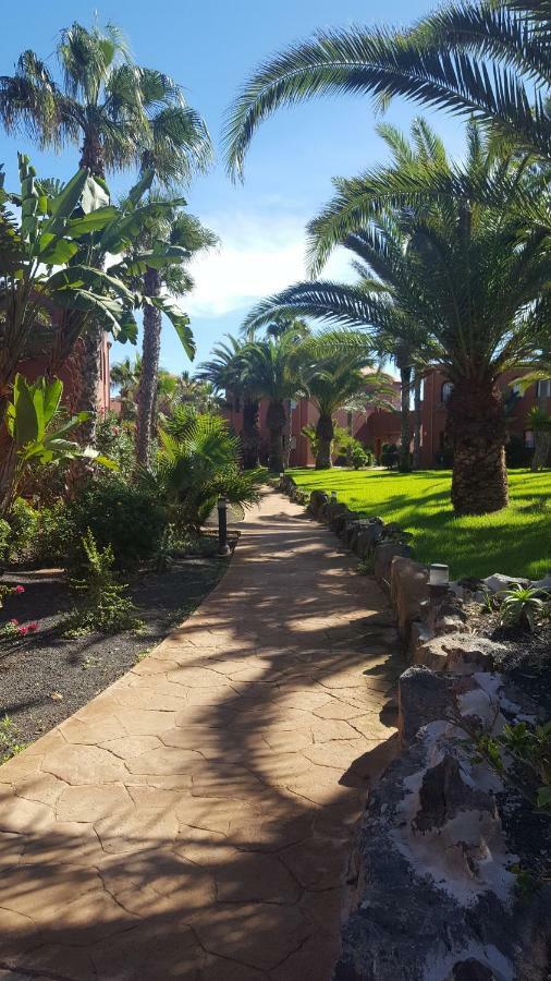 Appartamento Spagnolo Oasis Tamarindo Corralejo Exterior foto