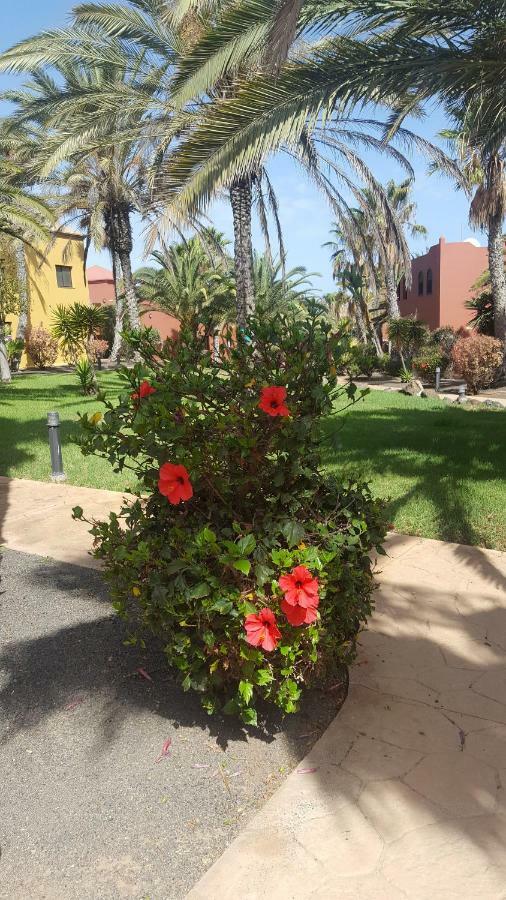 Appartamento Spagnolo Oasis Tamarindo Corralejo Exterior foto